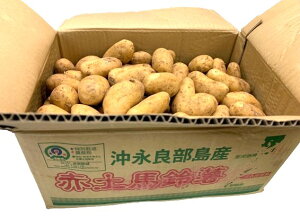 ys꒼szƖpE@kCق@[NC@LTCY@10kgiP[Xjy①z