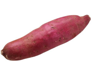 yzys꒼szق@܈@iȂƂƂjPC@500g@x2Zbgy①z