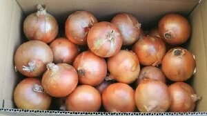 ys꒼szƖpE@Ɍق@WHY@ʂ˂@10kgiP[Xjy①z