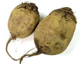 【朝市場直行】オーストラリアほか　ビーツ　1kg　x6個セット【冷蔵】