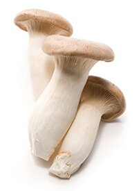 【朝市場直行】新潟県ほか　エリンギ　PC　約100g　x6個セット【冷蔵】