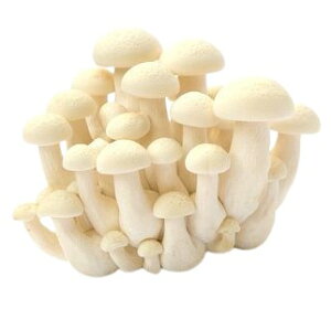 yzys꒼sz쌧ق@uis[()i܁j 100g@x2Zbgy①z