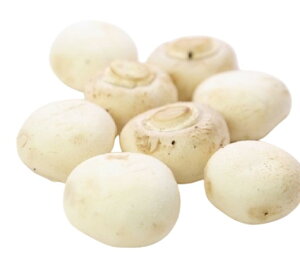 yzys꒼sz錧ق@zCg}bV[@PC@100g@x2Zbgy①z