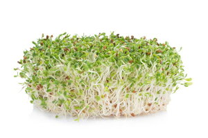 yzys꒼sz򕌌ق@At@t@@PC@80g@x2Zbgy①z