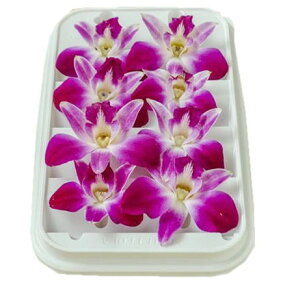 ys꒼sz^CY@ft@iԁjPC@30g@x4Zbgy①z