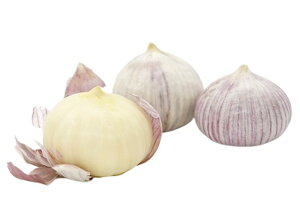 yAEgbgzys꒼szق@v`ɂɂ@PC@1kgy①z