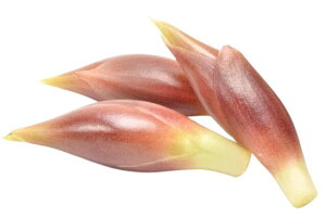 yzys꒼szmق@䪉ׁi݂傤jPC@50g@x2Zbgy①z