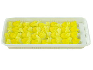 yzys꒼szmق@@PC@25g@x2Zbgy①z