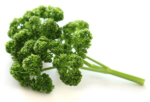 �y���s�꒼�s�z���쌧�ق��@�p�Z���i�܁j��200g�y�①�z