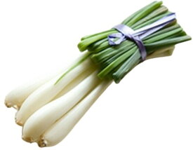 【朝市場直行】静岡県ほか　エシャレット　束　約50g〜70g【冷蔵】