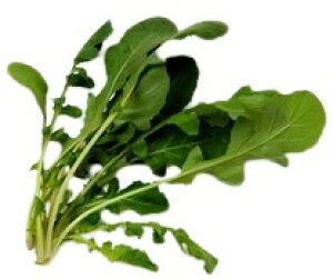 yzys꒼sz錧ق@bRiPbgjPC@50g@x2Zbgy①z