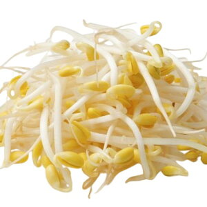 ys꒼szȖ،ق@哤₵iǂji܁j200gy①z