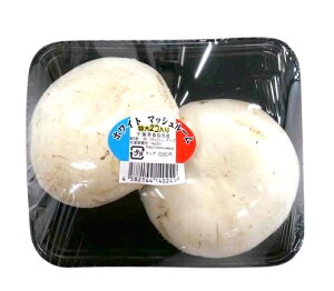 yzys꒼sztق@W{}bVij2~3@PC@200g@x2Zbgy①z