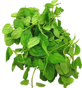 yzys꒼sztق@CGouGiiL[o~gj100g@x2Zbgy①z