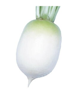 �y���������z�y���s�꒼�s�z���s�ق��@����@�卪�i���傤�����񂾂�����j1�@��1kg�@x2�Z�b�g�y�①�z