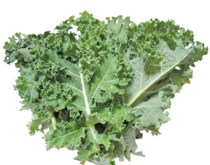 yzys꒼szق@J[[P[i܁j80g@x2Zbgy①z