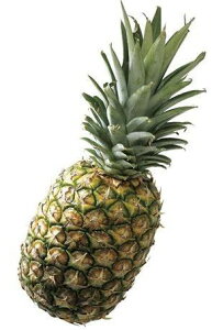 ys꒼sztBsق@pCibv@1@1kg@x6Zbgy①z