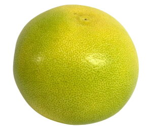 yzys꒼szmق@Ui傤Ԃ񂽂j1@600g@x2Zbgy①z