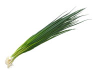 【朝市場直行】大分県ほか　小ねぎ(万能ねぎ) （袋） 約100g【冷蔵】