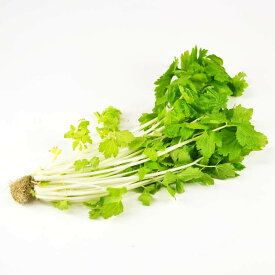 【朝市場の新鮮野菜】ホワイトセロリ （袋 約100g)【冷蔵】