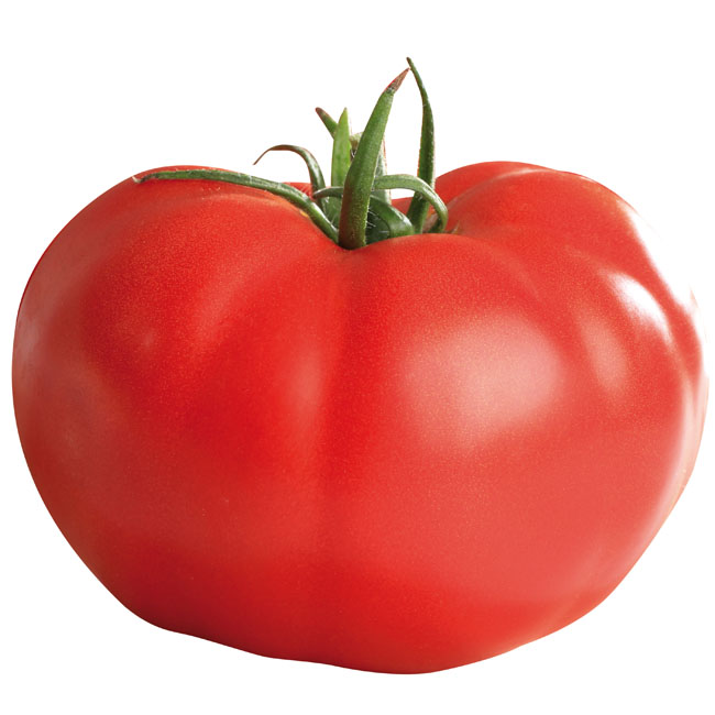 トマト　Mサイズ（約150g）1個