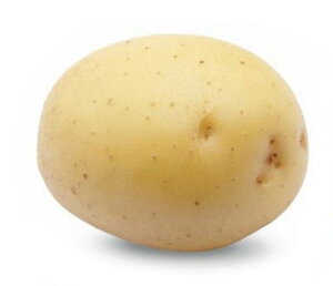 ys꒼szkCق@Ⴊ@LTCY@1@120g@x6Zbgy①z