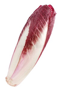 ys꒼szxM[ق@AfB[u`Riԁj1@80g@x6Zbgy①z