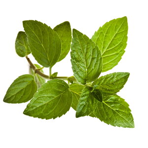 yzys꒼szmق@yp[~g@PC@15g@x2Zbgy①z