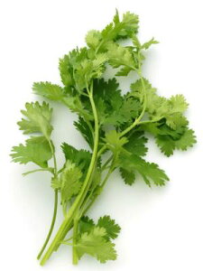 �y���s�꒼�s�z���m���ق��@�C�^���A���p�Z���@PC�@��15g�y�①�z