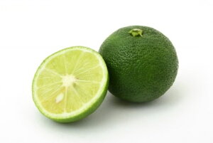 すだち 送料無料 食品の人気商品 通販 価格比較 価格 Com