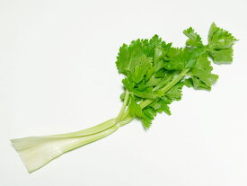 【朝市場の新鮮野菜】セロリ（約90g）1本【冷蔵】