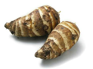 ys꒼szÉق@CV@LTCY@1kgy①z