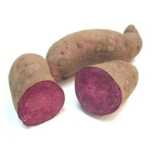 yzys꒼sztق@iނ炳j@1kg@x2Zbgy①z