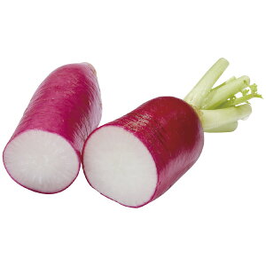 ys꒼sz_ސ쌧ق@fBT_卪@LTCY@1{@300g@x6Zbgy①z