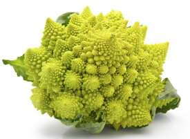 【送料無料】【朝市場直行】愛知県ほか　ロマネスコ　Lサイズ　1個　約600g　x2個セット【冷蔵】