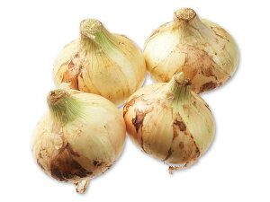 �y���������z�y���s�꒼�s�z���茧�ق��@�V�ʂ˂��@1kg�@x2�Z�b�g�y�①�z