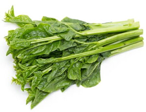 yzys꒼szق@ނ炳@100g@x2Zbgy①z