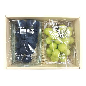 【朝市場直行】シャインマスカット+巨峰・ギフトセット(2房)【冷蔵】