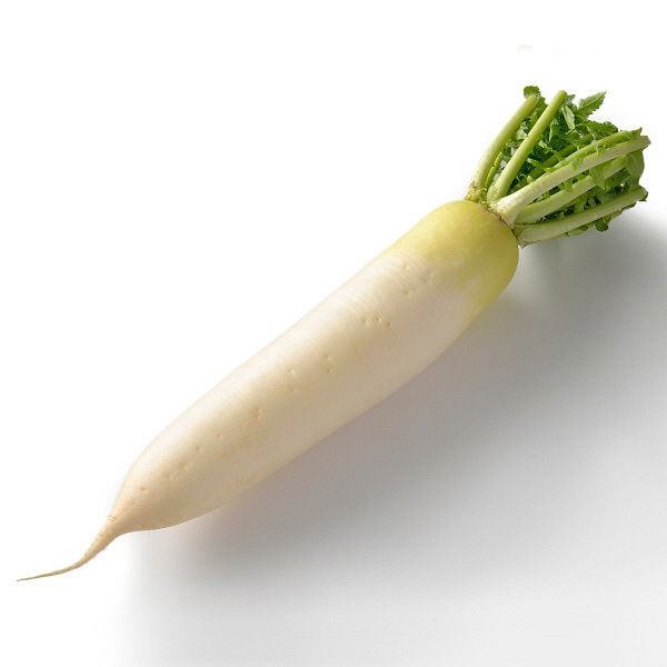 送料無料 朝市場の新鮮野菜 大根 2Lサイズ x2個セット 格安激安 1本 セール 登場から人気沸騰