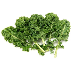 ySz^k͔|zP[@5@AN|j@Ó쓡y①z