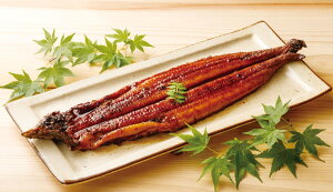 yEzN@IBYŏĂYΏĂȂ@1i200gjyⓀz\[