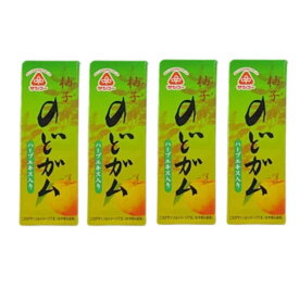 【送料無料(メール便)】のどガム 4個セット サンコー