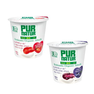 I[KjbN[OgEu[x[Xgx[ (100gx8)x2P[Xy①z