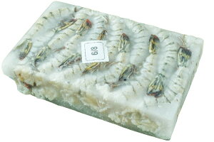 yBlackFridayZ[E|Cg10{zys꒼szGr@ktubN^CK[i6-8ji24-32jChق@1800gʁyⓀz374469