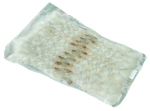 yBlackFridayZ[E|Cg10{zys꒼szGr@tނL΂oiCCVi26-30ji20jxgiق@200-210gʁyⓀz347803