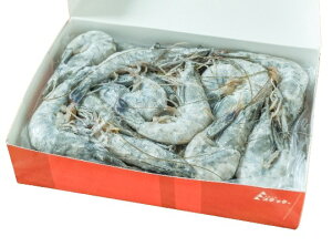 ys꒼szGr@Vg̊CVi20-30jj[JhjA 1000gʁyⓀz345843