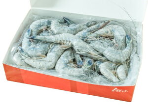 ys꒼szGr@Vg̊CVi30-40jj[JhjA 1000gʁyⓀz345844