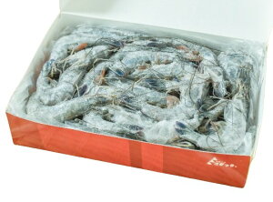 ys꒼szGr@Vg̊CVi40-50jj[JhjA 1000gʁyⓀz367247