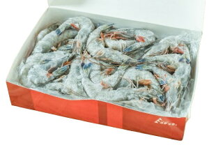 ys꒼szGr@Vg̊CVi50-60jj[JhjA 1000gʁyⓀz367250