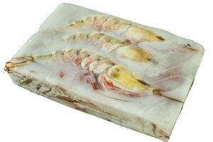 ys꒼szGr@LVRV[^CK[i萔6`14j~}[ق@1.5kgʁyⓀz329442